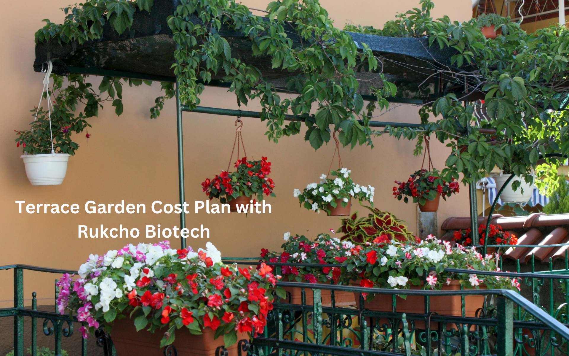Terrace Garden Cost plan with Rukcho biotech